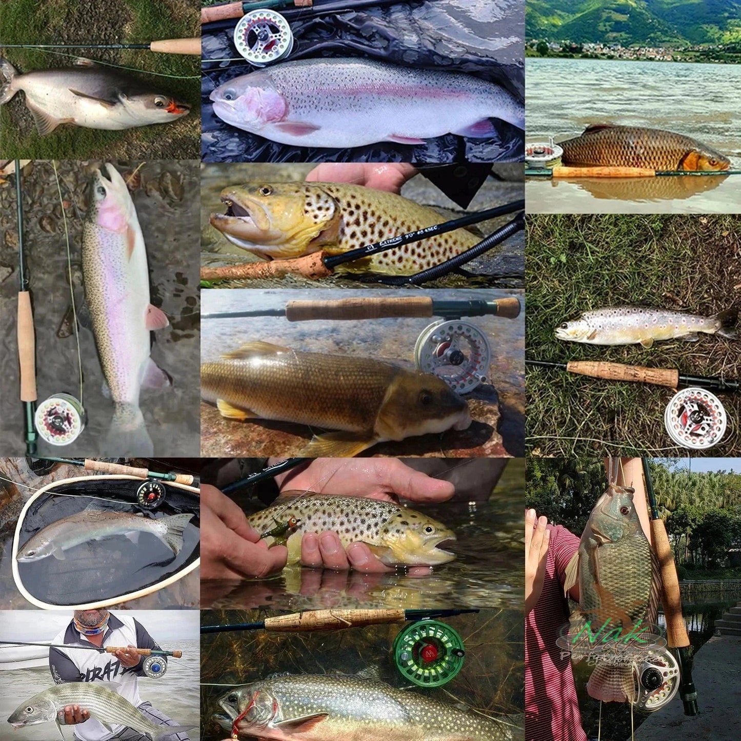 Fly Fishing Combo 3/5/6/7/8 Weight, catch
